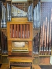 Organ