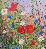 Petals, Poppies and Wildflowers