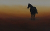 Prairie