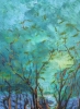 Woodland Wander