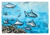 Reef Sharks