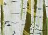 Birches VI