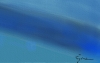 Antarctic Underwater 1