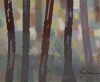 Aspen Forest 3