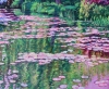 Monet's Wisteria Bridge at Giverny