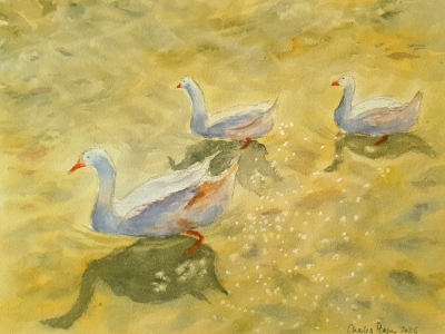 Geese on the Lake. Signed Original Watercolour