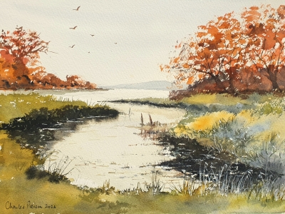 Meadow Bank Reflections
