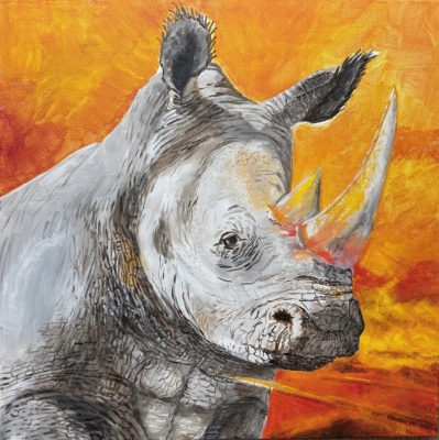 Rhino