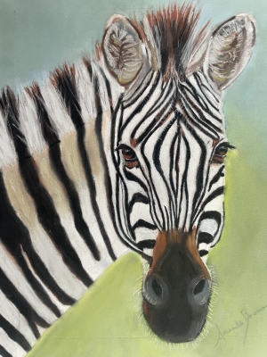 Ziggy The Zebra -  Hand Drawn 
