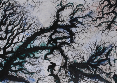 Canopy