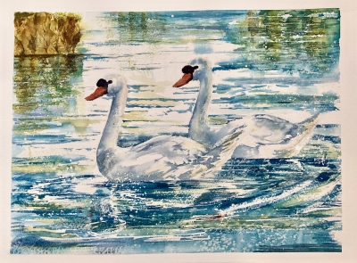 Swanning Around 