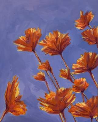 Sunlit Wildflowers