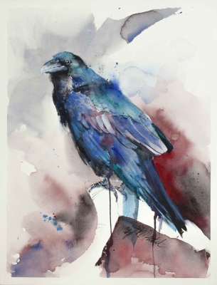 Raven VI