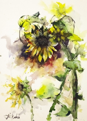 Sunflowers