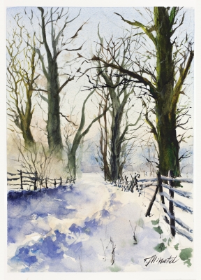 Silent Winter Path