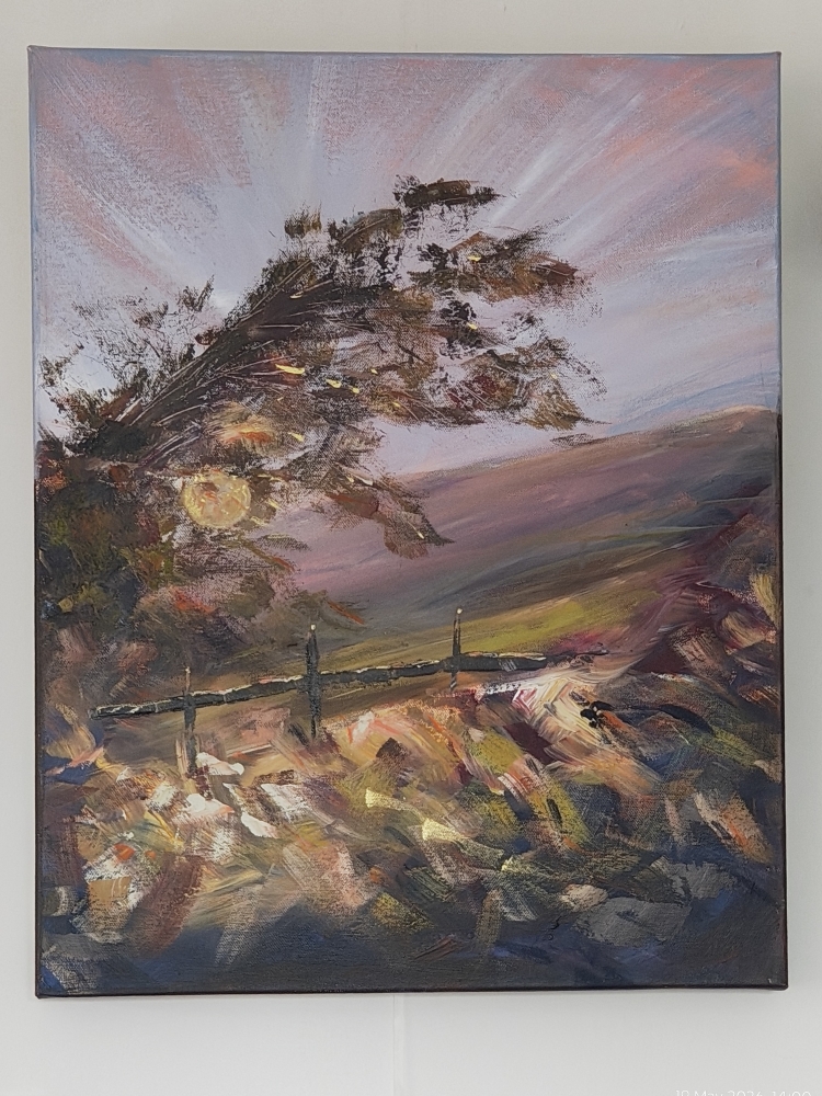 Windswept Moor