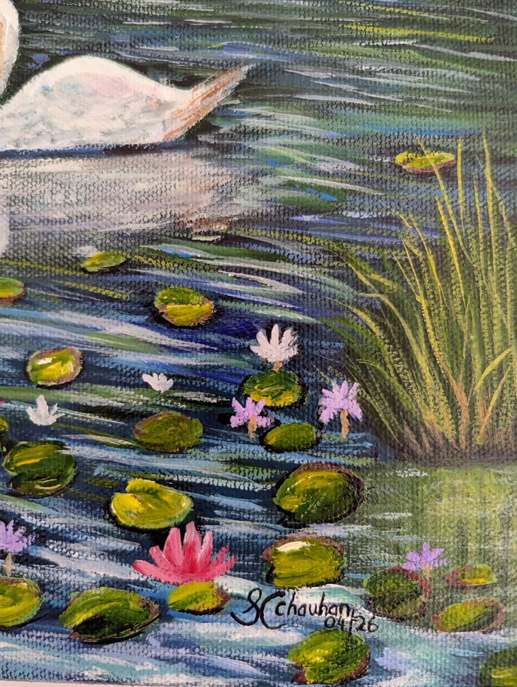 Serene Swans 