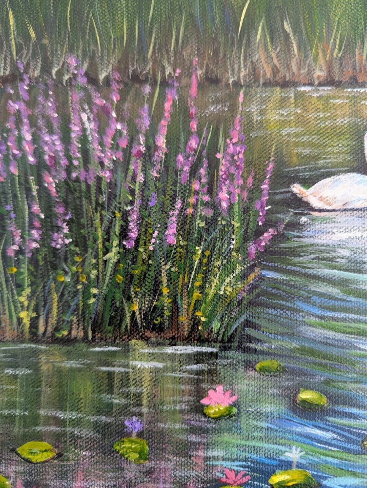 Serene Swans 