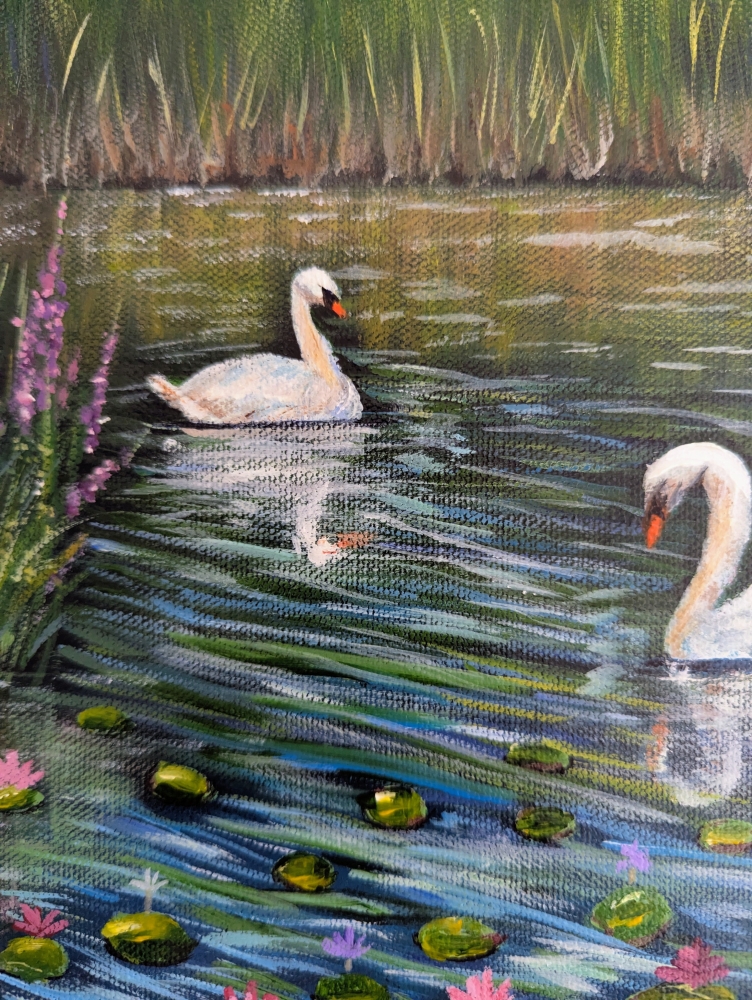 Serene Swans 