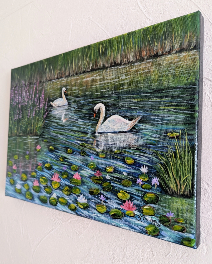 Serene Swans 