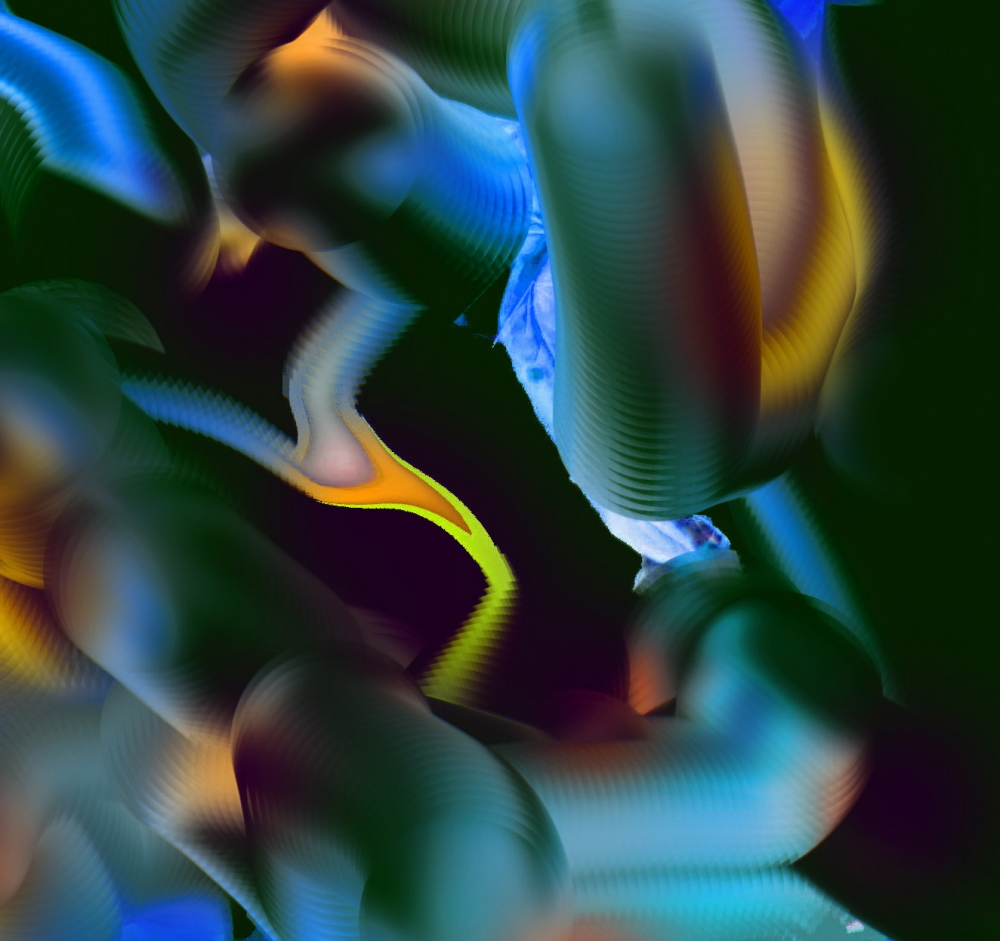 Seasonal Flux