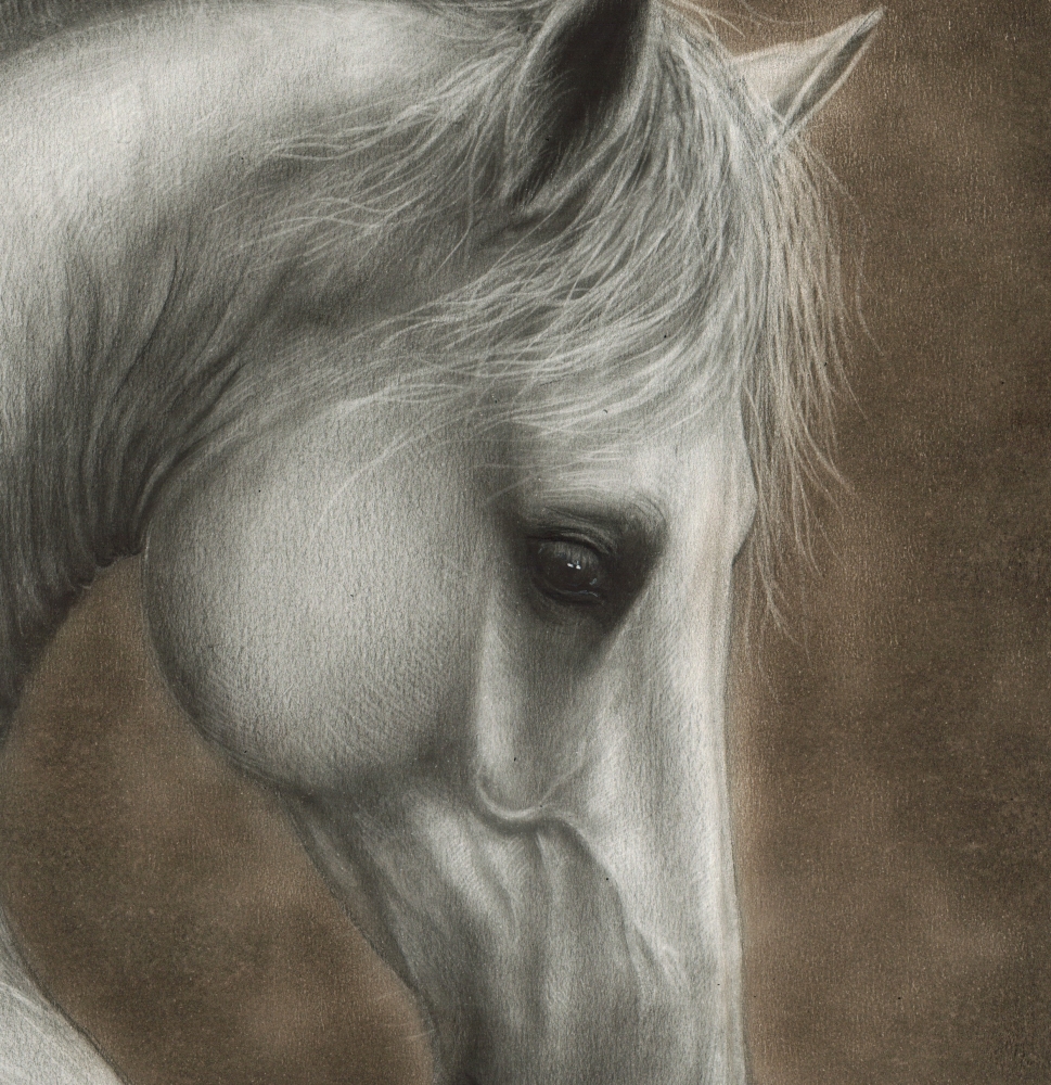 Silent Elegance