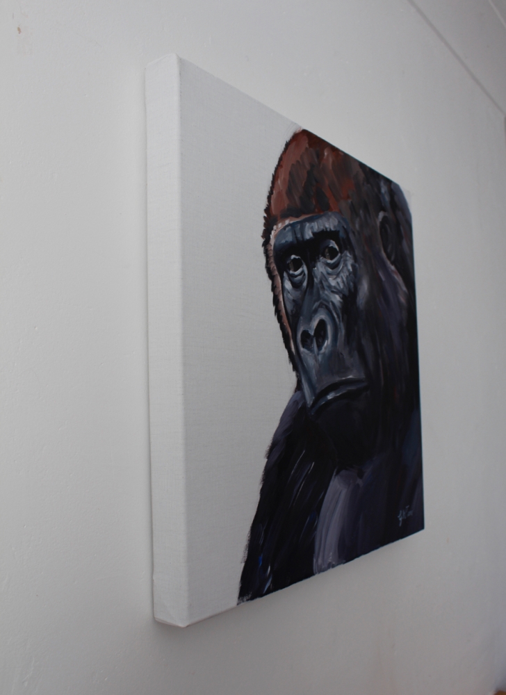 Gorilla