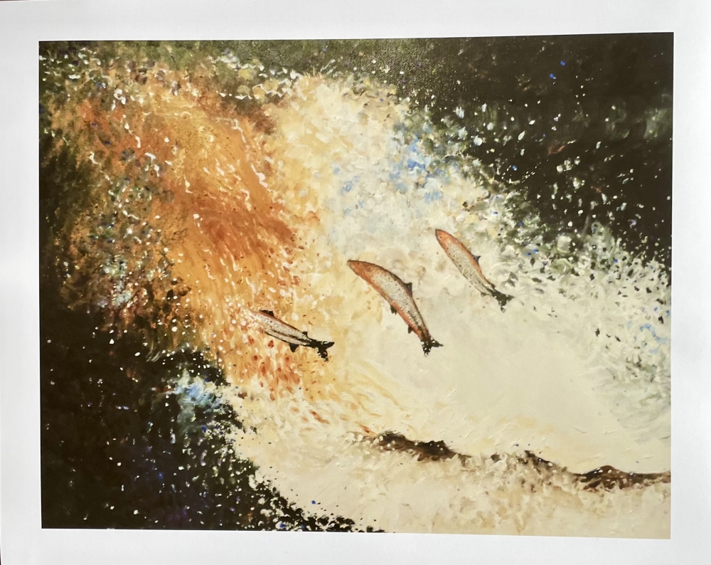 Salmon Jumping