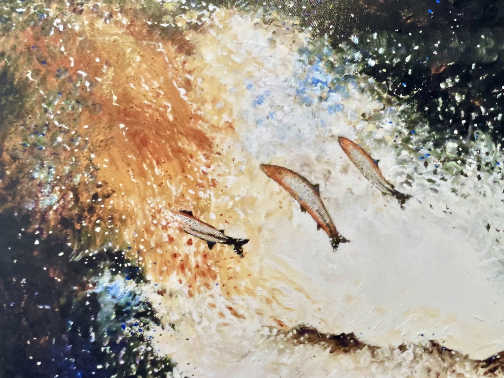 Salmon Jumping