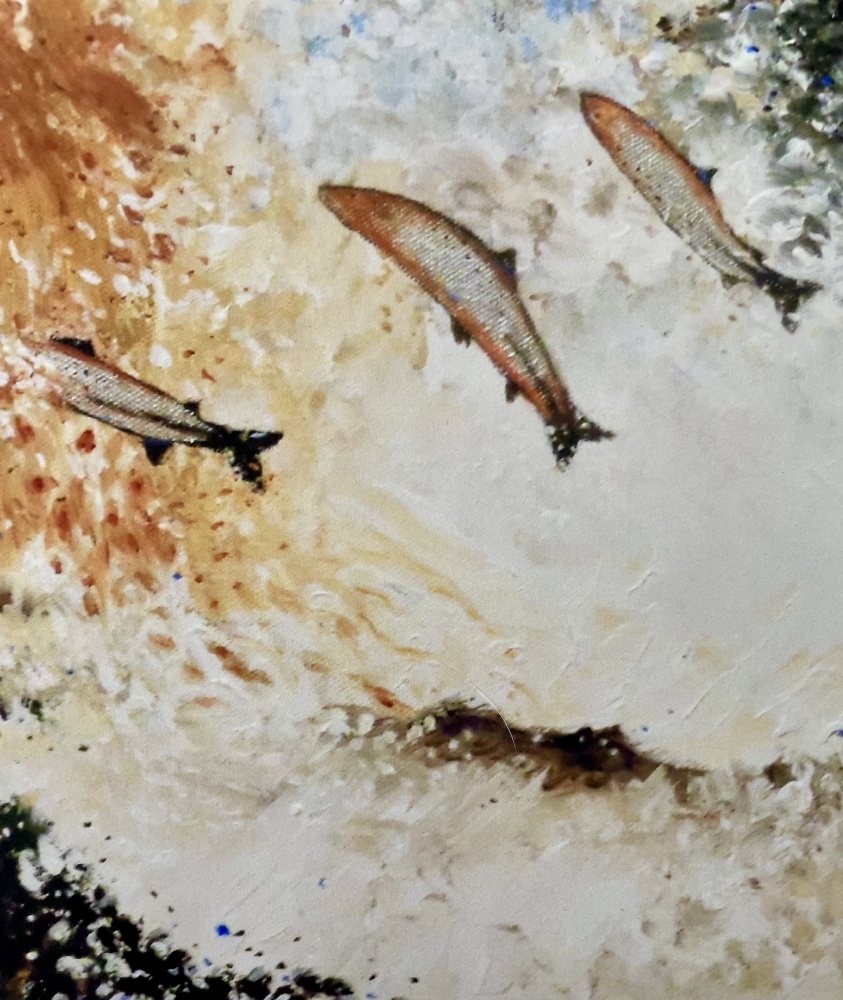 Salmon Jumping