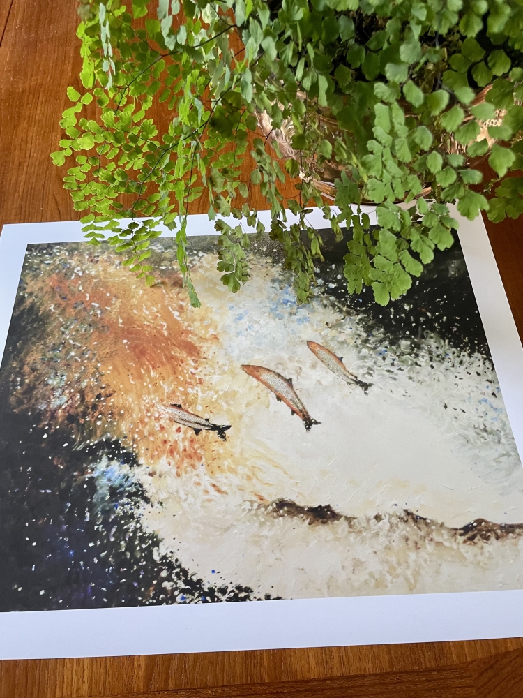 Salmon Jumping