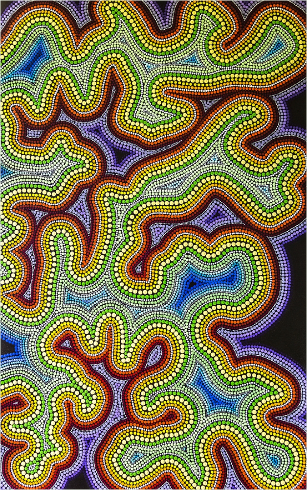 Modern Aboriginal Collections #2