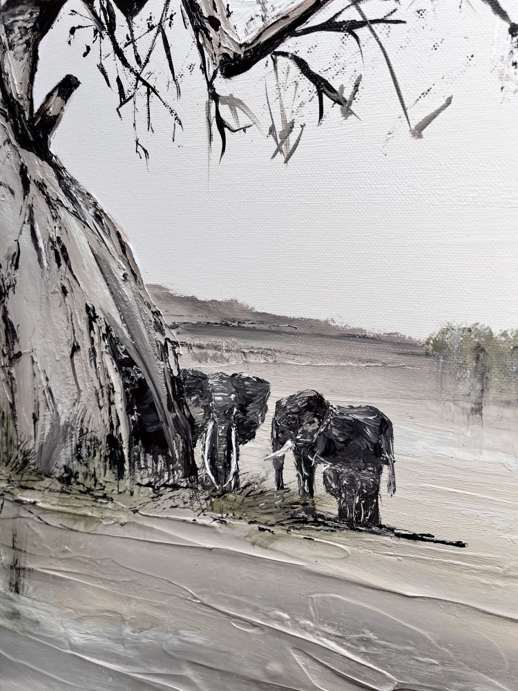 Elephants under the Baobab 
