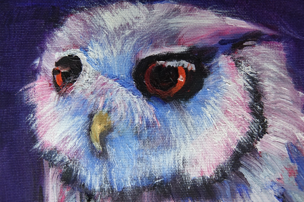 Little Owl 2