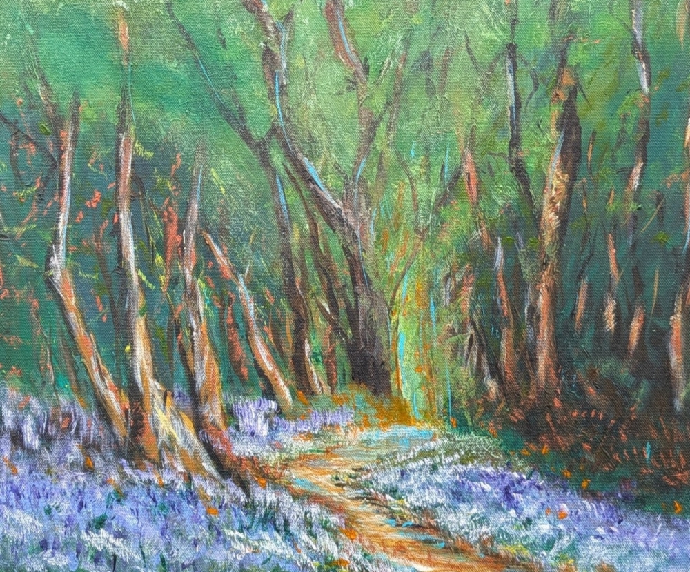 Bluebell Wanderings
