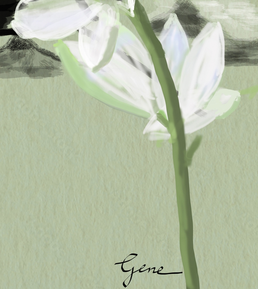 Star of Bethlehem Kanji