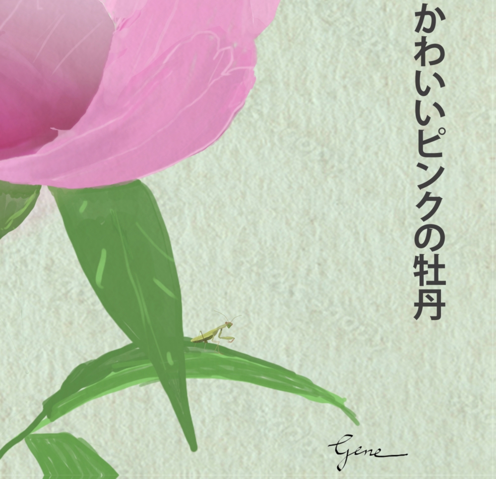 Pink Peony Kanji