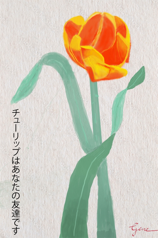 Tulips Kanji