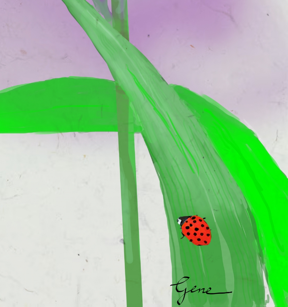 WIld Onion Blossoms Kanji