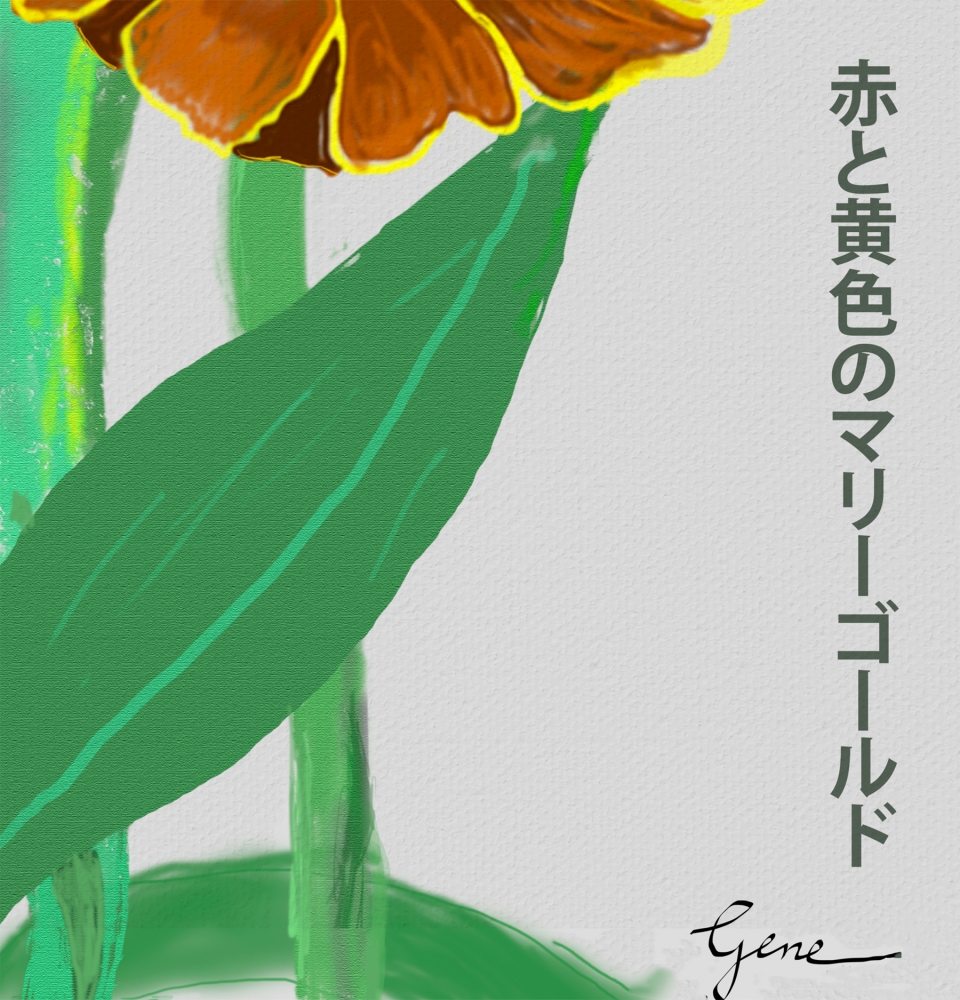 Marigold Kanji