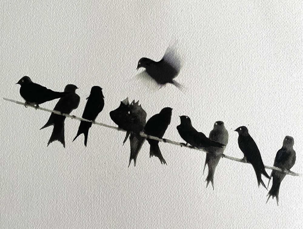 Swallows on a Wire (framed)