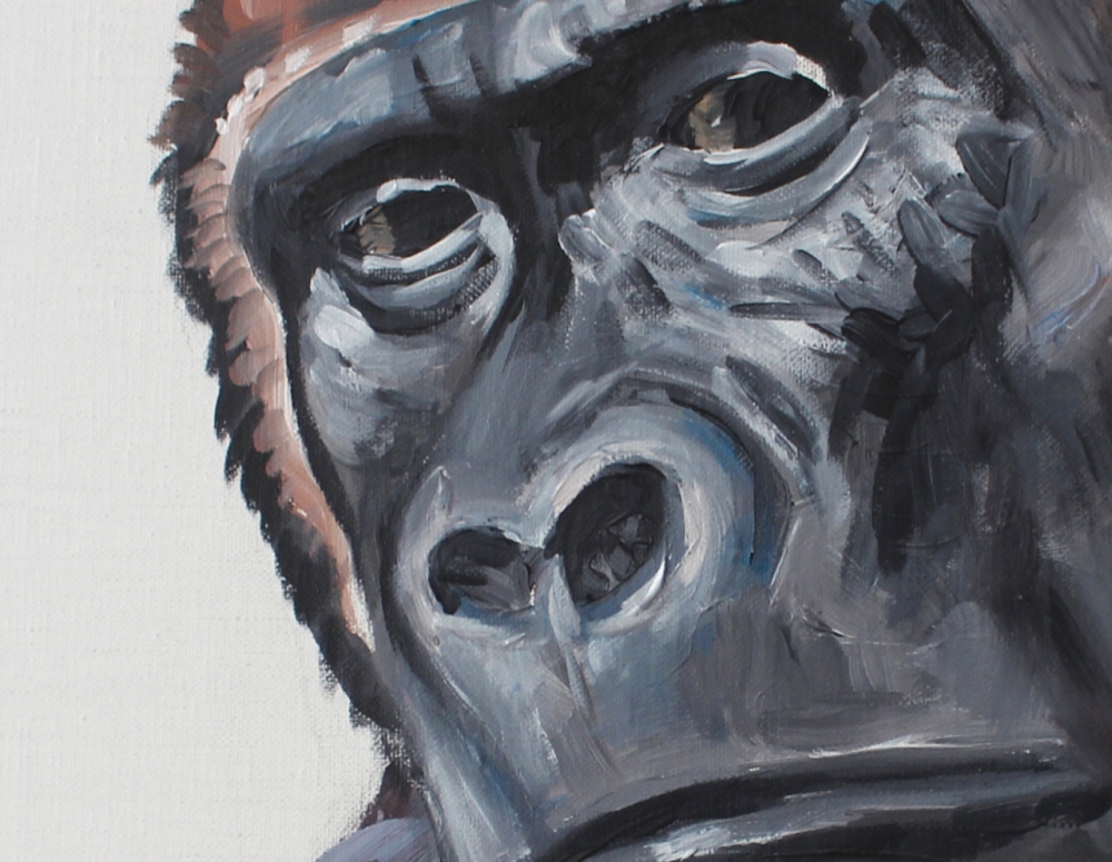 Gorilla