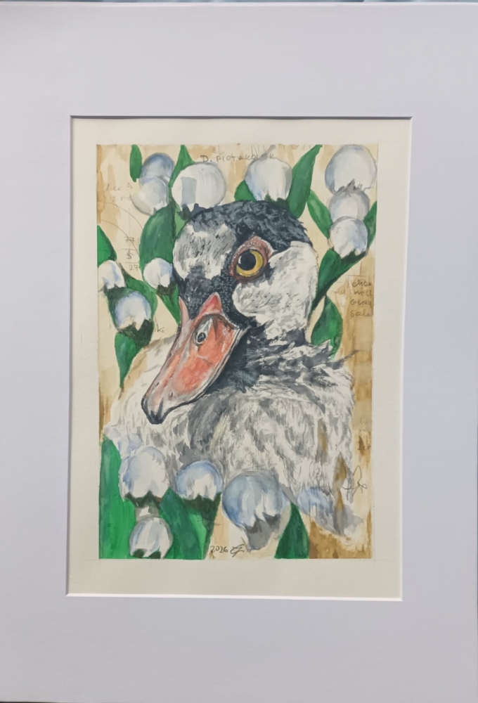 A duck in lilies of the valley