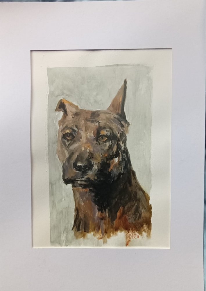 A portrait of a dog