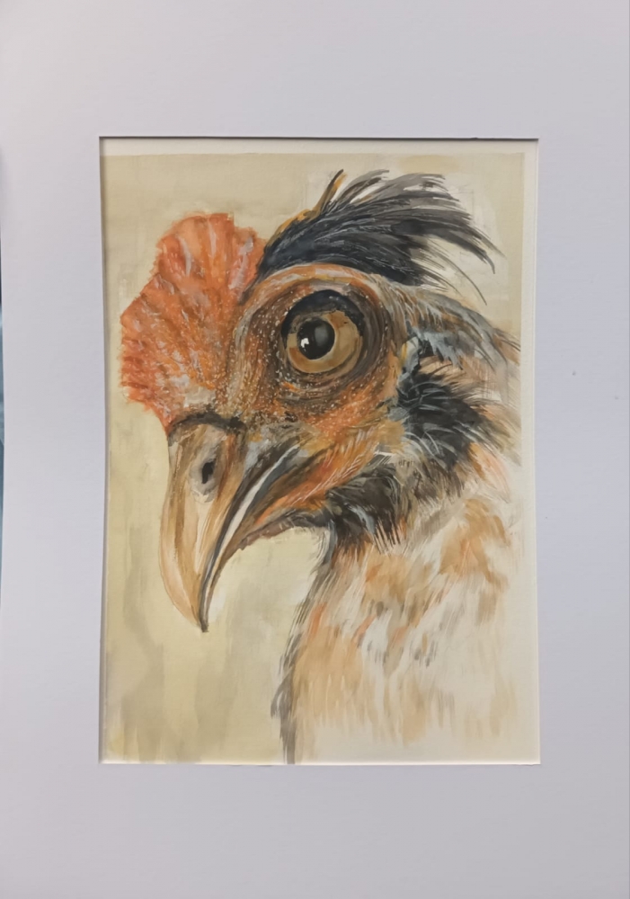 Portrait of a chicken