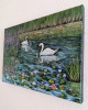 Serene Swans 