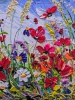 Colourful meadow 