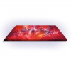 Magenta Elegance L 1