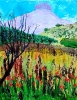 Across the valley