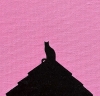 The Cat And The Pink Sunset